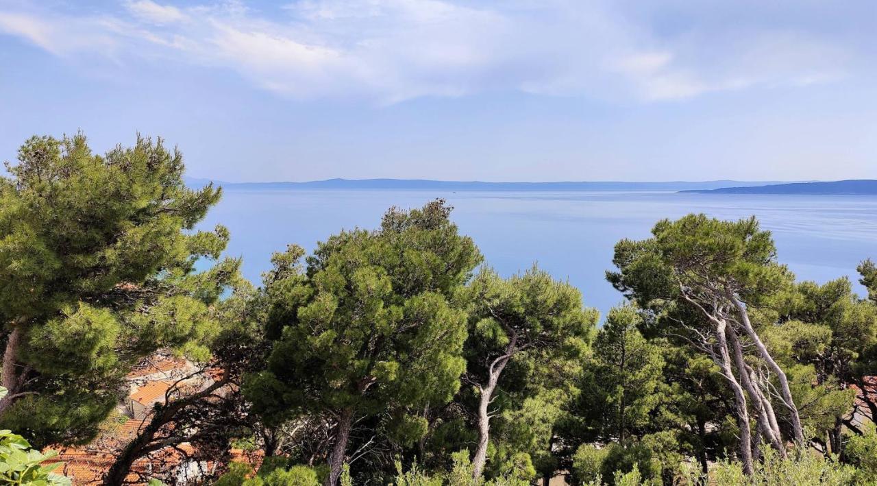 Gemuetliche Villa Mit Pool بريلا المظهر الخارجي الصورة